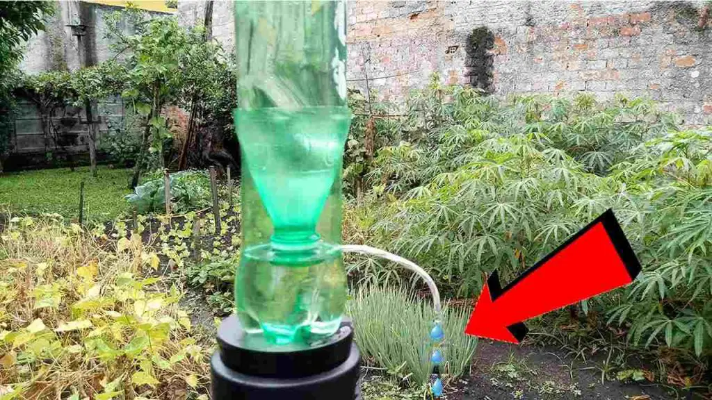 How To Make A Homemade Drip Sprinkler: 10 Cents Is Enough – Natural 